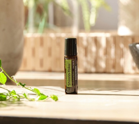 Картинка «Шинрин-Ёку» смесь эфирных масел, doTERRA Shinrin-Yoku (купание в лесу), роллер 10 мл от магазина IQ-Robot