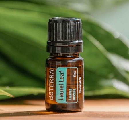 Картинка Эфирное масло doTERRA Лавровый лист, Laurel Leaf, 5 мл от магазина IQ-Robot