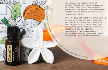 Картинка Набор «Клементин» с аромакамнем в виде цветка doTERRA, 15 мл от магазина IQ-Robot