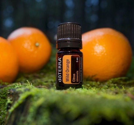 Картинка Эфирное масло doTERRA Дикий апельсин, Wild Orange, 5 мл от магазина IQ-Robot