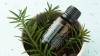 Картинка Эфирное масло dōTERRA Сибирская пихта, Siberian Fir, 15 мл от магазина IQ-Robot