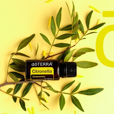 Картинка Эфирное масло doTERRA Цитронелла, Citronella, 15 мл от магазина IQ-Robot