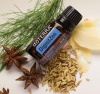 Картинка «Дайджест Зен» смесь для улучшения пищеварения, doTERRA DigestZen, 15 мл от магазина IQ-Robot