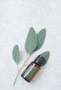 Картинка Смесь эфирных масел dōTERRA Эвкалипт (из 5-ти уникальных видов), Eucalyptus, 15 мл от магазина IQ-Robot