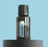 Картинка «Коста Брио» бодрящая смесь эфирных масел, doTERRA Costa Brio, 15 мл от магазина IQ-Robot