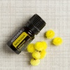 Картинка Эфирное масло dōTERRA Бессмертник, Helichrysum, 5 мл от магазина IQ-Robot
