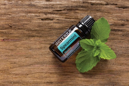 Картинка Эфирное масло doTERRA Садовая мята, Spearmint, 15 мл от магазина IQ-Robot