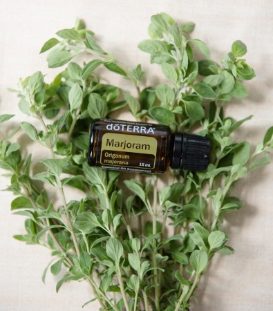 Картинка Эфирное масло doTERRA Майоран, Marjoram, 15 мл от магазина IQ-Robot