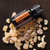 Картинка Эфирное масло dōTERRA Ладан, Frankincense, 15 мл от магазина IQ-Robot