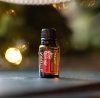 Картинка «Холидей Джой» смесь эфирных масел для создания уюта, doTERRA Holiday Joy, 15 мл от магазина IQ-Robot
