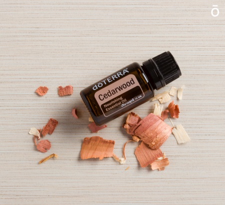 Картинка Эфирное масло doTERRA Кедр, Cedarwood, 15 мл от магазина IQ-Robot