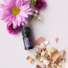 Картинка «Утешение» успокаивающая смесь эфирных масел, doTERRA Console Comforting Blend, 5 мл от магазина IQ-Robot