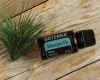 Картинка Эфирное масло dōTERRA Сибирская пихта, Siberian Fir, 15 мл от магазина IQ-Robot