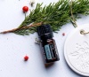Картинка Эфирное масло dōTERRA Бальзамическая пихта, Balsam Fir, 5 мл от магазина IQ-Robot