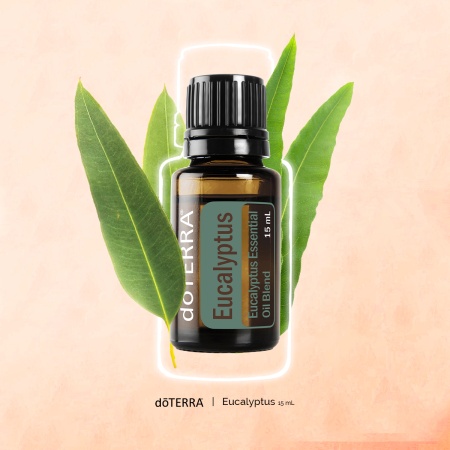 Картинка Смесь эфирных масел doTERRA Эвкалипт (из 5-ти уникальных видов), Eucalyptus, 15 мл от магазина IQ-Robot