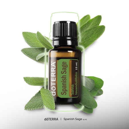 Картинка Эфирное масло doTERRA Испанский шалфей, Spanish Sage, 15 мл от магазина IQ-Robot