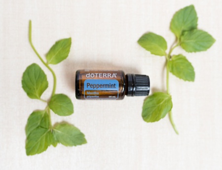 Картинка Эфирное масло doTERRA Мята перечная, Peppermint, 15 мл от магазина IQ-Robot