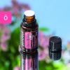 Картинка «Цитрус Блум» смесь весенних ароматов, doTERRA Citrus Bloom, 15 мл от магазина IQ-Robot