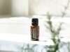 Картинка Смесь эфирных масел dōTERRA Эвкалипт (из 5-ти уникальных видов), Eucalyptus, 15 мл от магазина IQ-Robot