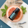 Картинка «АТТ» смесь эфирных масел для массажа, doTERRA Ароматач ATT, 15 мл от магазина IQ-Robot