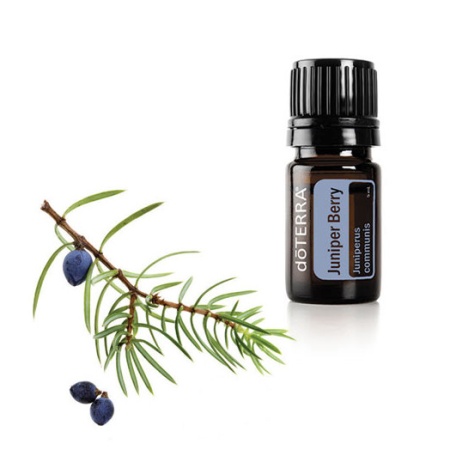 Картинка Эфирное масло doTERRA Можжевельник, juniper berry, 5 мл от магазина IQ-Robot