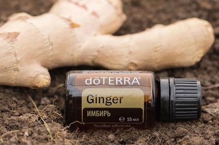 Картинка Эфирное масло doTERRA Имбирь, Ginger, 15 мл от магазина IQ-Robot