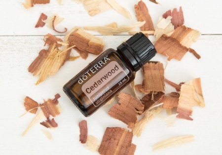 Картинка Эфирное масло doTERRA Кедр, Cedarwood, 15 мл от магазина IQ-Robot