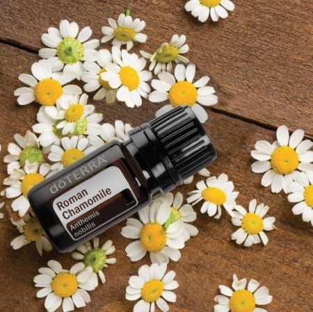 Картинка Эфирное масло doTERRA Римская ромашка, Roman Chamomile, 5 мл от магазина IQ-Robot