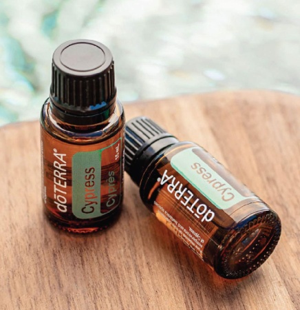 Картинка Эфирное масло doTERRA Кипарис, Cypress, 15 мл от магазина IQ-Robot