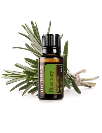 Картинка Эфирное масло doTERRA Розмарин, Rosemary, 15 мл от магазина IQ-Robot