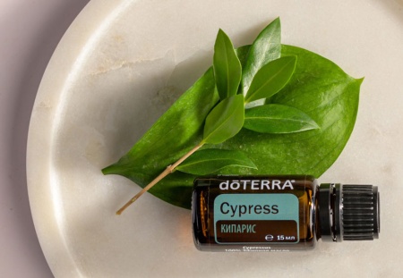 Картинка Эфирное масло doTERRA Кипарис, Cypress, 15 мл от магазина IQ-Robot