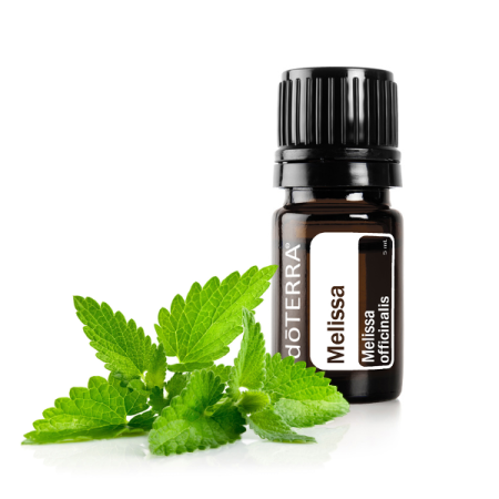 Картинка Эфирное масло doTERRA Мелисса, Melissa, 5 мл от магазина IQ-Robot