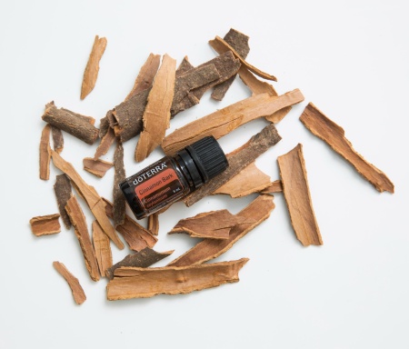 Картинка Эфирное масло doTERRA Корица, Сinnamon Bark, 5 мл от магазина IQ-Robot