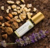 Картинка «Иммортель/Салубелле» антивозрастная смесь эфирных масел, doTERRA immortelle, роллер 10 мл от магазина IQ-Robot