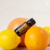 Картинка «Цитрус Блисс» тонизирующая смесь, doTERRA Citrus Bliss, 15 мл от магазина IQ-Robot