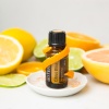 Картинка «Цитрус Блисс» тонизирующая смесь, doTERRA Citrus Bliss, 15 мл от магазина IQ-Robot