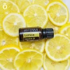 Картинка Эфирное масло dōTERRA Лимон, Lemon, 15 мл от магазина IQ-Robot