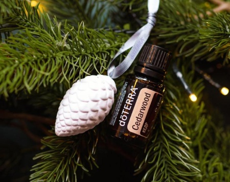 Картинка Эфирное масло doTERRA Кедр, Cedarwood, 15 мл от магазина IQ-Robot