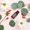 Картинка Эфирное масло dōTERRA Герань, Geranium, 15 мл от магазина IQ-Robot