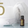 Картинка Эфирное масло dōTERRA Ветивер, Vetiver, 15 мл от магазина IQ-Robot