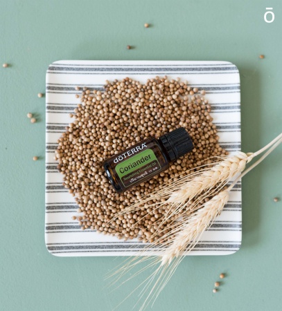 Картинка Эфирное масло doTERRA Кориандр, Coriander, 15 мл от магазина IQ-Robot