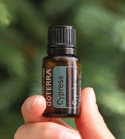 Картинка Эфирное масло doTERRA Кипарис, Cypress, 15 мл от магазина IQ-Robot