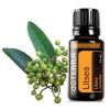 Картинка Эфирное масло dōTERRA Литсея, Litsea, 15 мл от магазина IQ-Robot