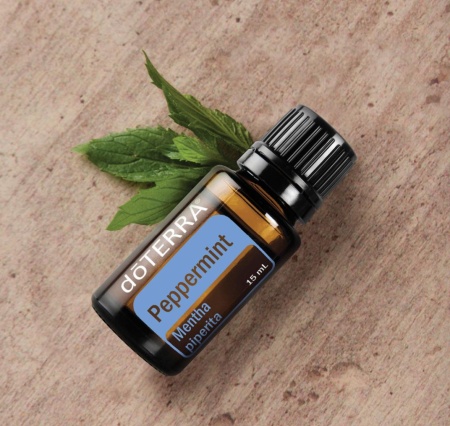 Картинка Эфирное масло doTERRA Мята перечная, Peppermint, 15 мл от магазина IQ-Robot