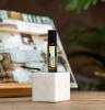 Картинка «Бьютифул» пленительная смесь эфирных масел doTERRA Beautiful Touch, роллер 10 мл от магазина IQ-Robot