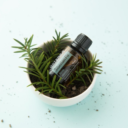 Картинка Эфирное масло doTERRA Сибирская пихта, Siberian Fir, 15 мл от магазина IQ-Robot