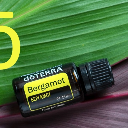 Картинка Эфирное масло doTERRA Бергамот, Bergamot, 15 мл от магазина IQ-Robot