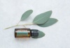 Картинка Смесь эфирных масел dōTERRA Эвкалипт (из 5-ти уникальных видов), Eucalyptus, 15 мл от магазина IQ-Robot