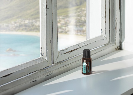 Картинка «Коста Брио» бодрящая смесь эфирных масел, doTERRA Costa Brio, 15 мл от магазина IQ-Robot
