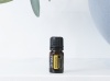 Картинка Эфирное масло dōTERRA Бессмертник, Helichrysum, 5 мл от магазина IQ-Robot